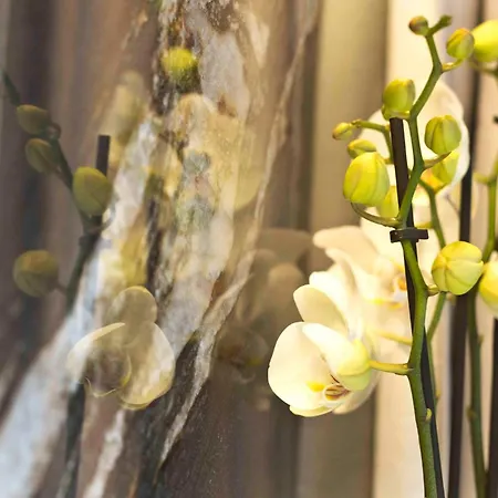 Boutique Otel Sirmione